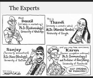 The Experts.jpg
